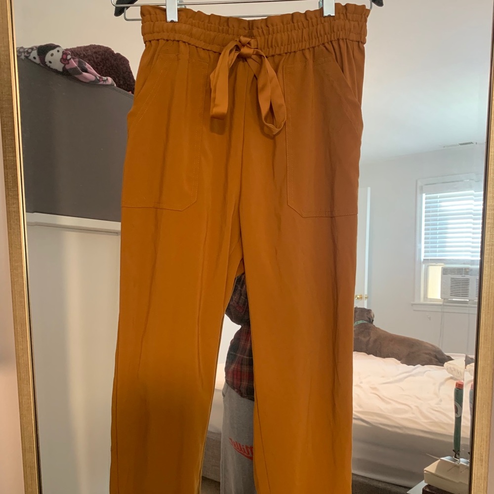 Zara Tumeric (Mustard) Yellow Tapered Pants